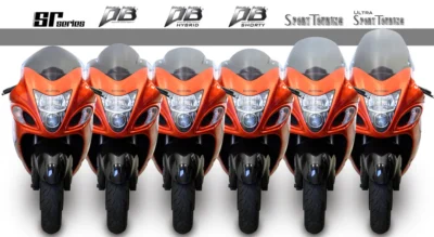 Hayabusa 1300 08-20