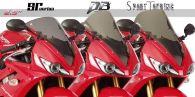 Daytona 675 06-08
